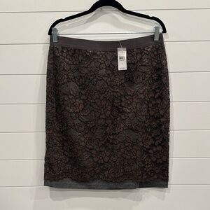 LOFT Chocolate/GREY Lace Pencil Skirt
